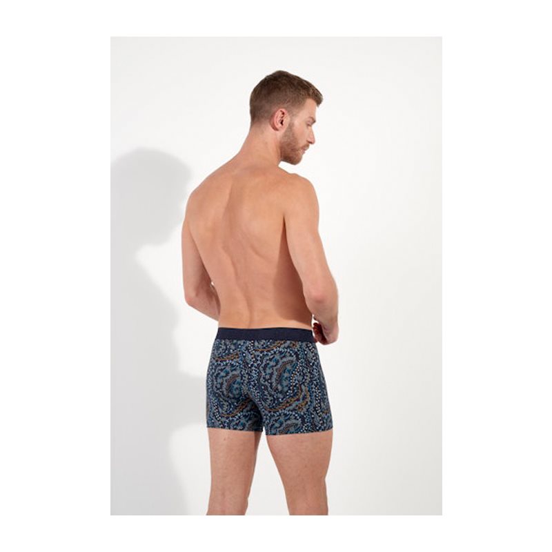 Fontainebleau Short