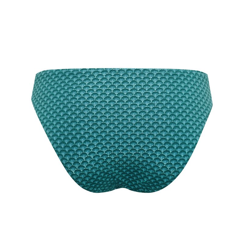 Chinese Fan Robin 1-Delig Bikini rioslip